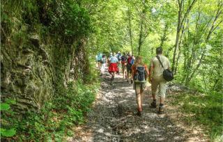 Pet Friendly Apartment - Carchelli - 4