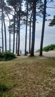 Strazdų namelis - Palanga - 3