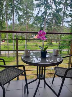 Apartamenty Poddąbek- basen kryty, sauna, animacje dla dzieci , małpi gaj, baseny na dachu - Poddąbie - 9