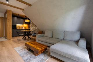 RentPlanet - Apartament Salwatoriańska - Zakopane - 8