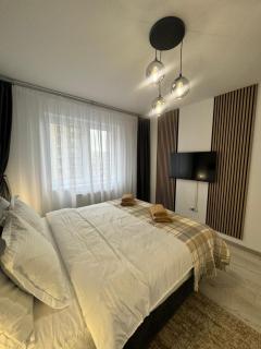 Alina Residence Casa Nobel - Braşov - 2