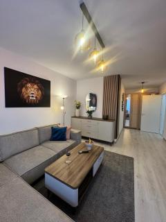 Alina Residence Casa Nobel - Braşov - 7