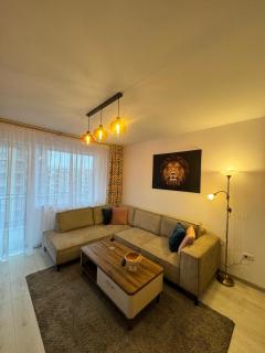 Alina Residence Casa Nobel - Braşov - 9