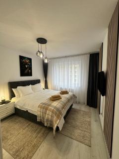 Alina Residence Casa Nobel - Braşov - 4