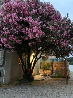Studio Moderne Cozy - Ribaute-les-Tavernes - 7