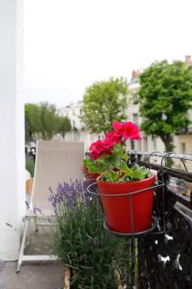 Light and Spacious Brunswick by the Sea - Brighton & Hove - 6