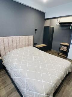 Newly Renovated, Modern and Bright Condo in Center - Erevan - 2