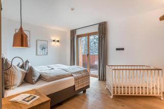 Schartneralm Birke - 4