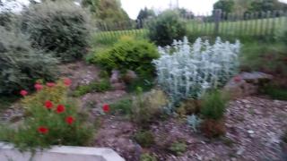 Chambre dans un écrin de verdure - 8