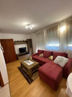 Apartman Vidić - Požega - 6
