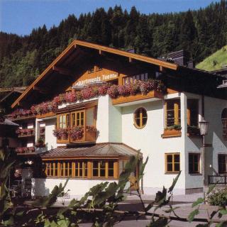 Portis Appartements - Dienten am Hochkönig - 8