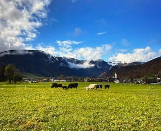 Ferienwohnungen am Dorfbach - Bezau - 4