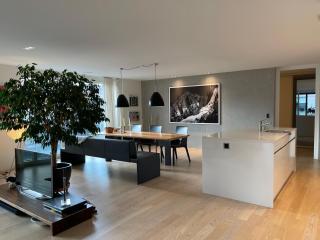 Top moderne, grosszügige City-Wohnung mit super fast WLAN - Luzern - 0
