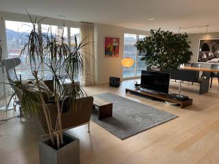 Top moderne, grosszügige City-Wohnung mit super fast WLAN - Luzern - 7