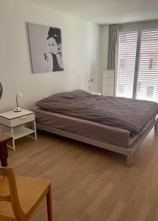 Top moderne, grosszügige City-Wohnung mit super fast WLAN - Luzern - 2