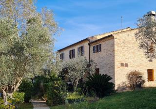 Le Residenze degli Ulivi - Campofilone - 0