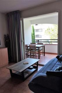 Appartement en Corse les pieds dans l'eau - San-Nicolao - 8