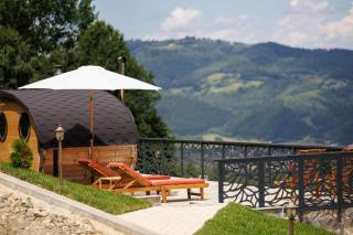 Vista Valley Resort - Zărneşti - 1