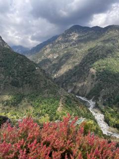 Dhauladhar Eternals - Dharamshala - 5