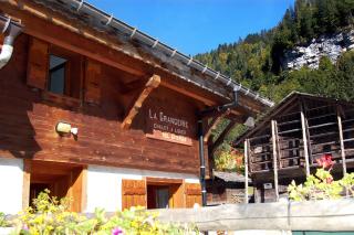 Chalet La Grangerie - Montriond - 8