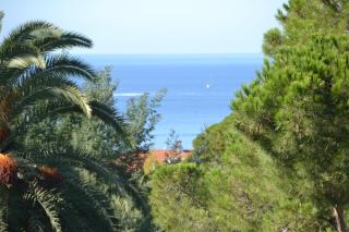 CANNES VILLA: 15 mins walk to beach & centre - 2
