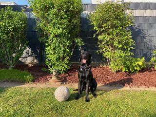 Barrierefreies Ferienhaus mit Garten bei Köln - 6
