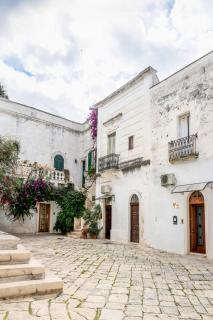 Il Tulipano Rosso - 9