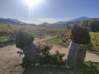 Disfrutando la zona - 1