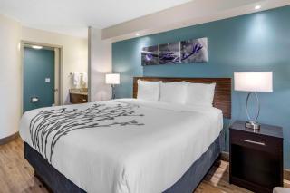Sleep Inn Clearwater-St Petersburg - 5