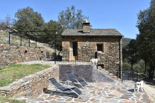 La vigne - - 7