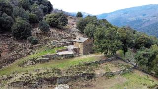 La vigne - - 6