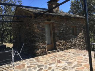 La vigne - - 5