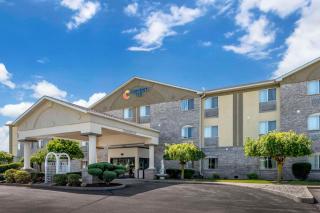 Comfort Inn - Fremont - 9