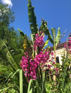 Relais du caudeau - 4