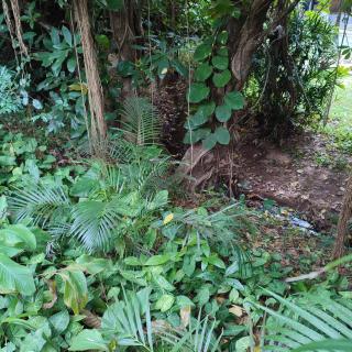 71 Umvoti Backpackers - KwaDukuza - 1