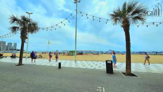 Primera línea de playa- First line Beach - Benidorm - 5