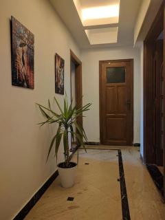 Tranquil and stylish Apartment in Dokki - Il Cairo - 2