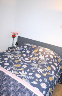 Studio Les Deux Grenouilles 5mn de Colmar - Herrlisheim-près-Colmar - 7