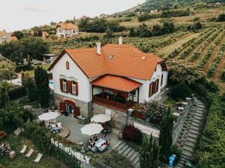 Badacsony Villa Ria - Badacsonytomaj - 8