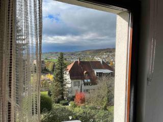 Emi's Guesthouse A2 - Waldshut-Tiengen - 0