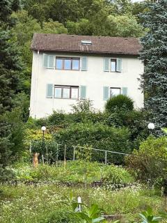 Emi's Guesthouse A2 - Waldshut-Tiengen - 2
