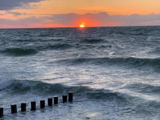 Hafenstraße 9 Whg 5 - Zingst - 5