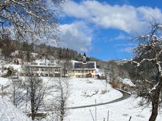 Schoolhouse Bürchau - Kleines Wiesental - 0