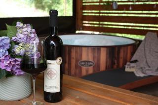 Holiday home Tilia - Slatinski Drenovac - 9