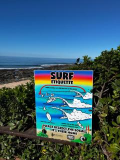RyQ-C - Jeffreys Bay - 1