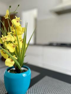Residence Zar 7 - Trieste - 1