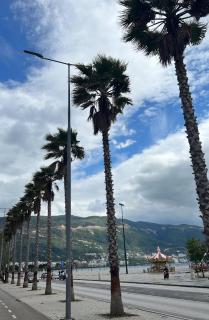 Sweet Escape - Vlorë - 4