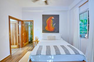 Villa Massis Luxury Villas - San Ignacio - 9