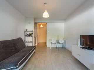 Charmant studio avec terrasse, parking en sous-sol, entre Biarritz et Anglet, à 5 km des plages - FR-1-3-600 - Anglet - 8
