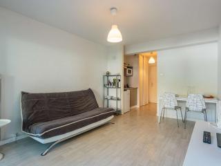 Charmant studio avec terrasse, parking en sous-sol, entre Biarritz et Anglet, à 5 km des plages - FR-1-3-600 - 4